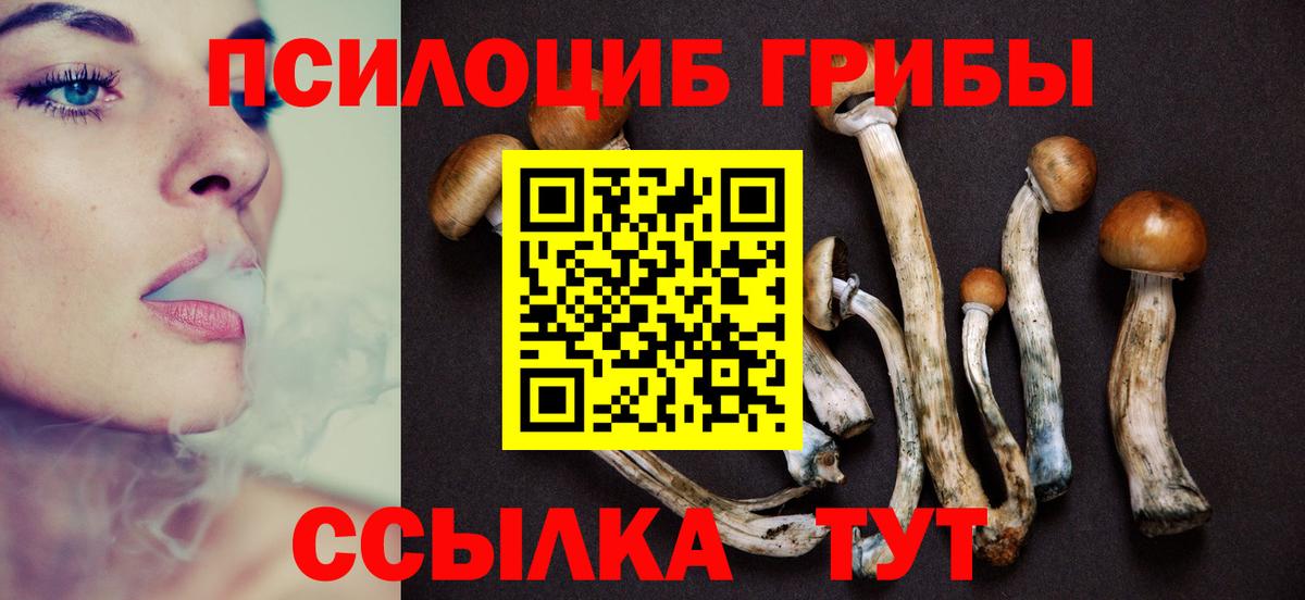 Галлюциногенные грибы мицелий  купить наркотики сайты  Батайск  Вход с VPN 