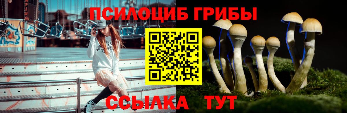Галлюциногенные грибы GOLDEN TEACHER Батайск